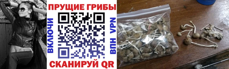 kraken ССЫЛКА  Боровск  Галлюциногенные грибы мухоморы 